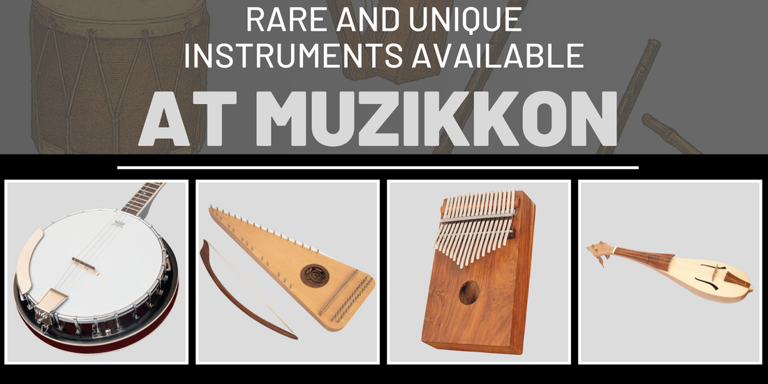 Rare and Unique Instruments Available at Muzikkon