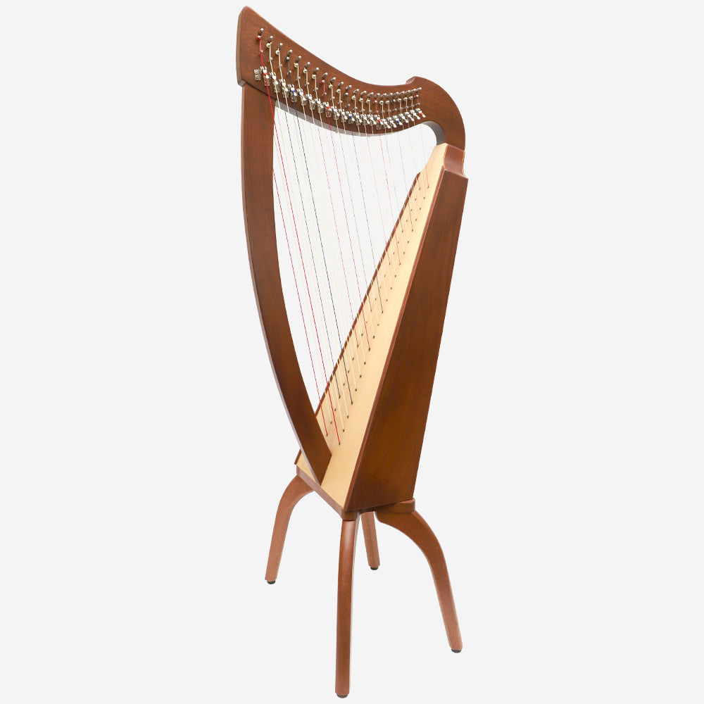 Double String Harps
