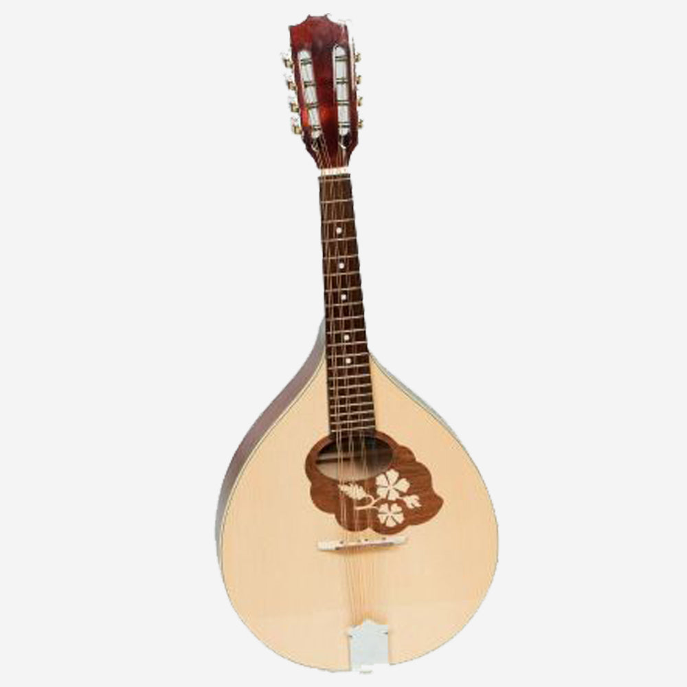 Mandolin