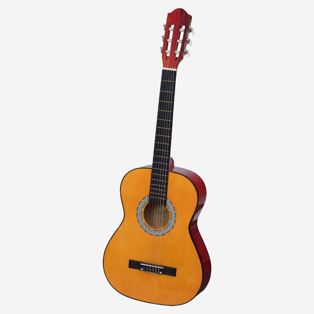 Acoustic Guitars - Muzikkon