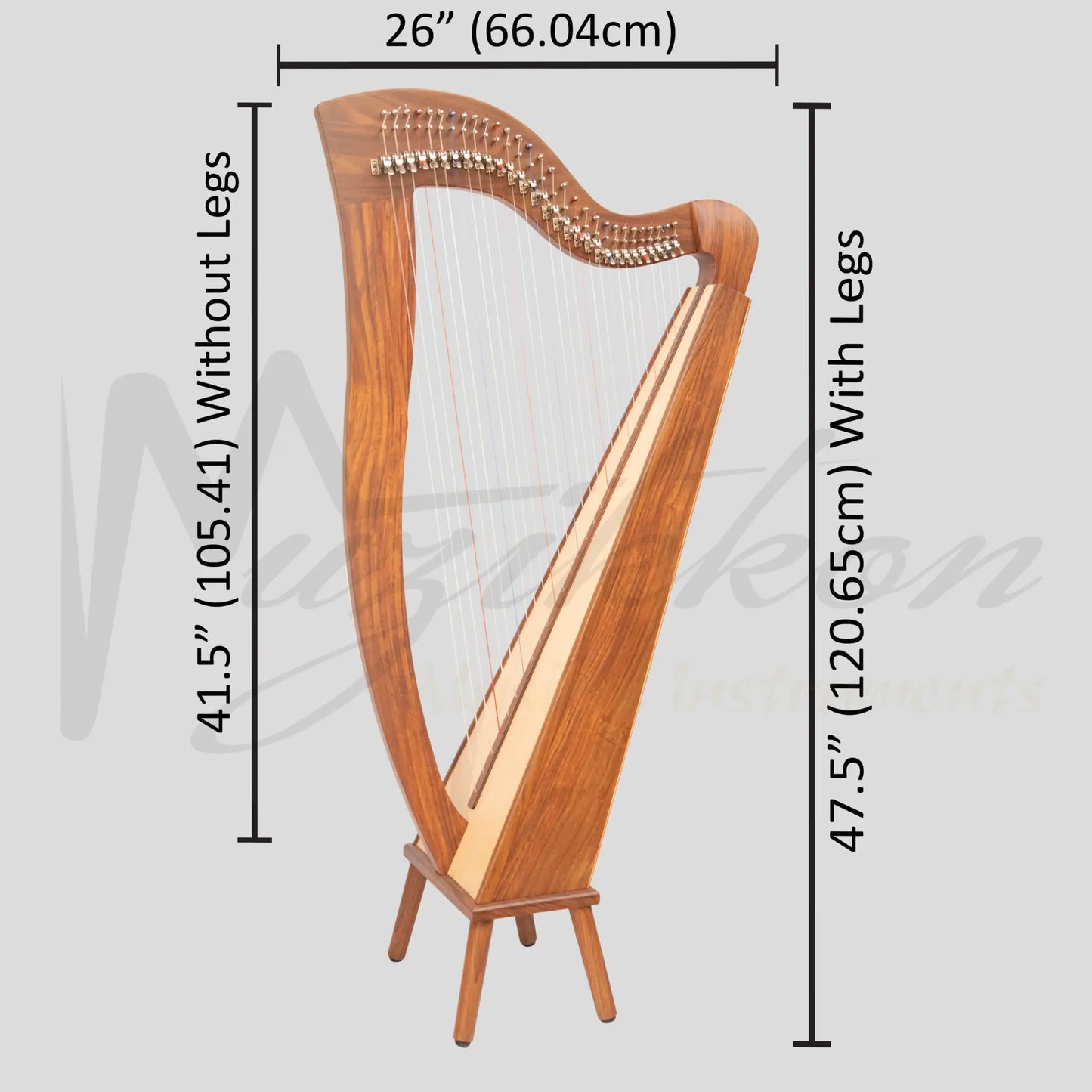 29 String McHugh Harp Square Back