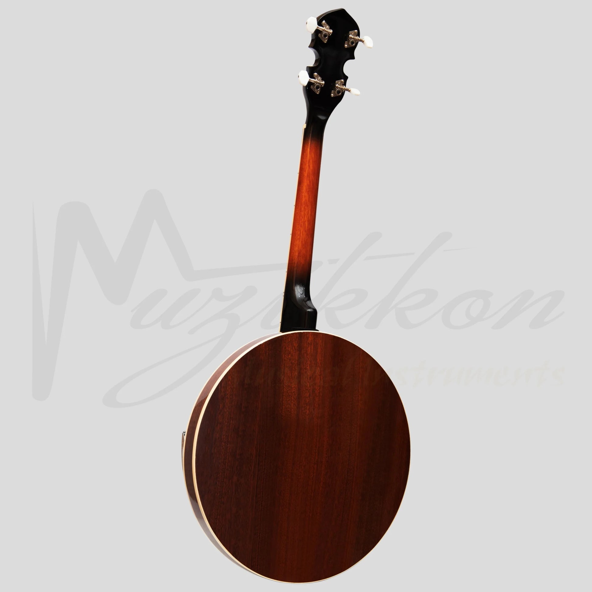 Heartland 4 String 17 Fret Irish Tenor Banjo Left Handed Player Series With Closed Solid Back