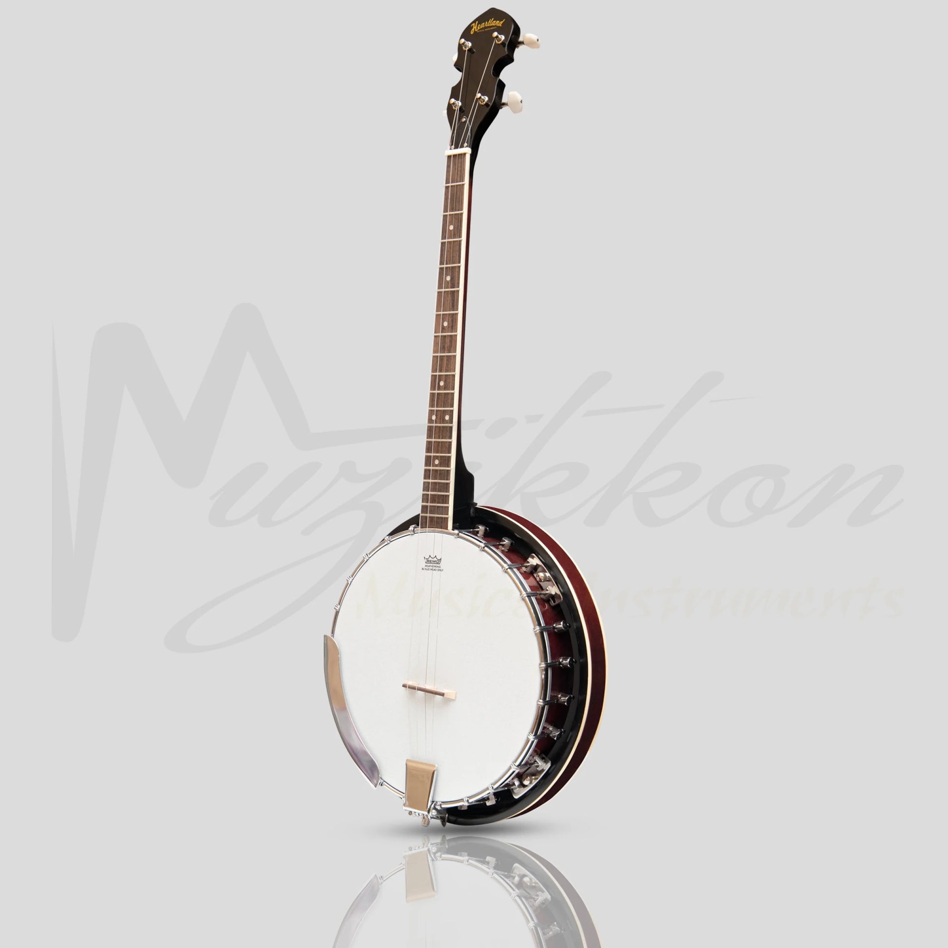 Heartland 4 String Banjo 19 Frets Irish Tenor 24 Bracket With Closed Solid Back