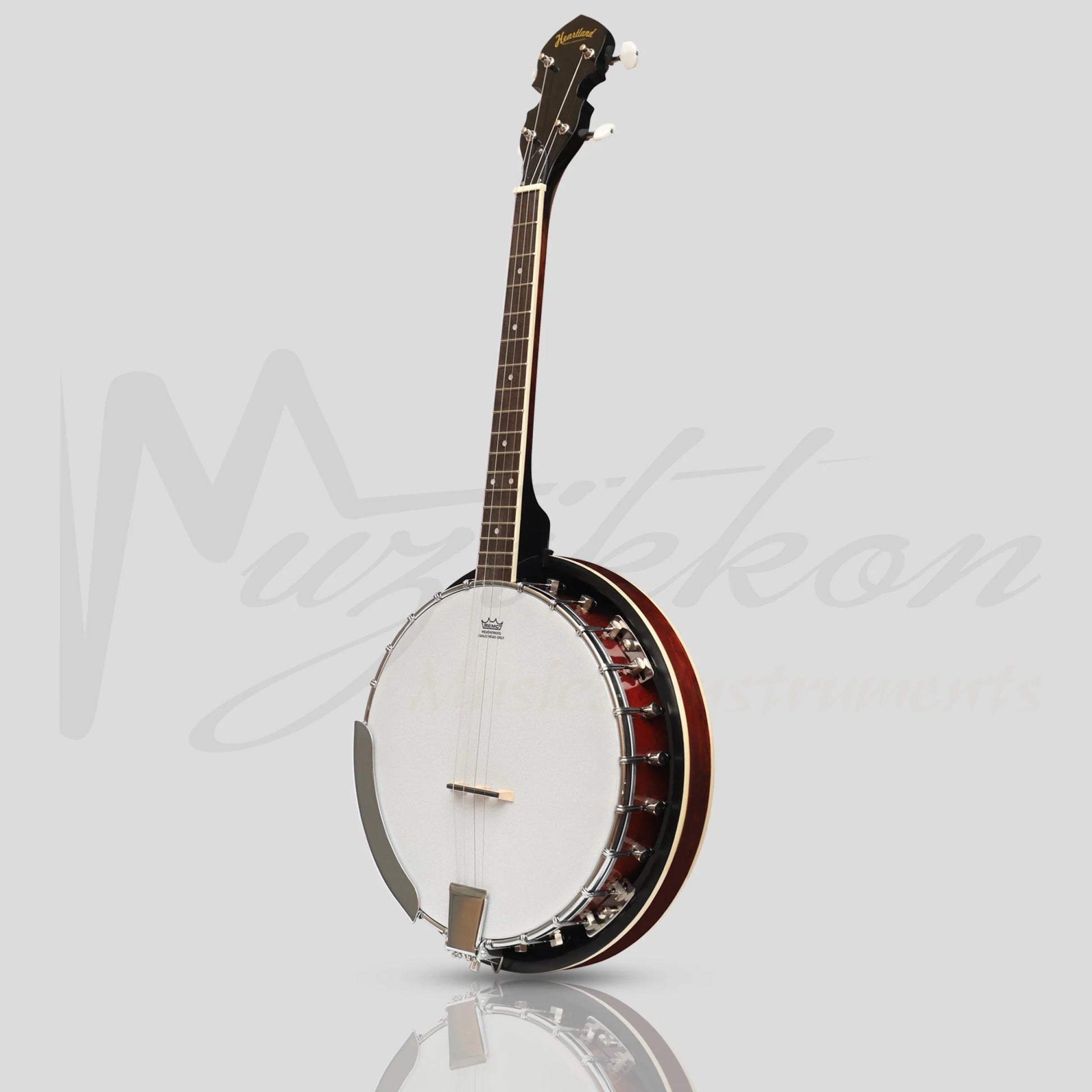 Heartland 4 String Banjo Closed Solid Back 17 Fret Irish Tenor Short Scale