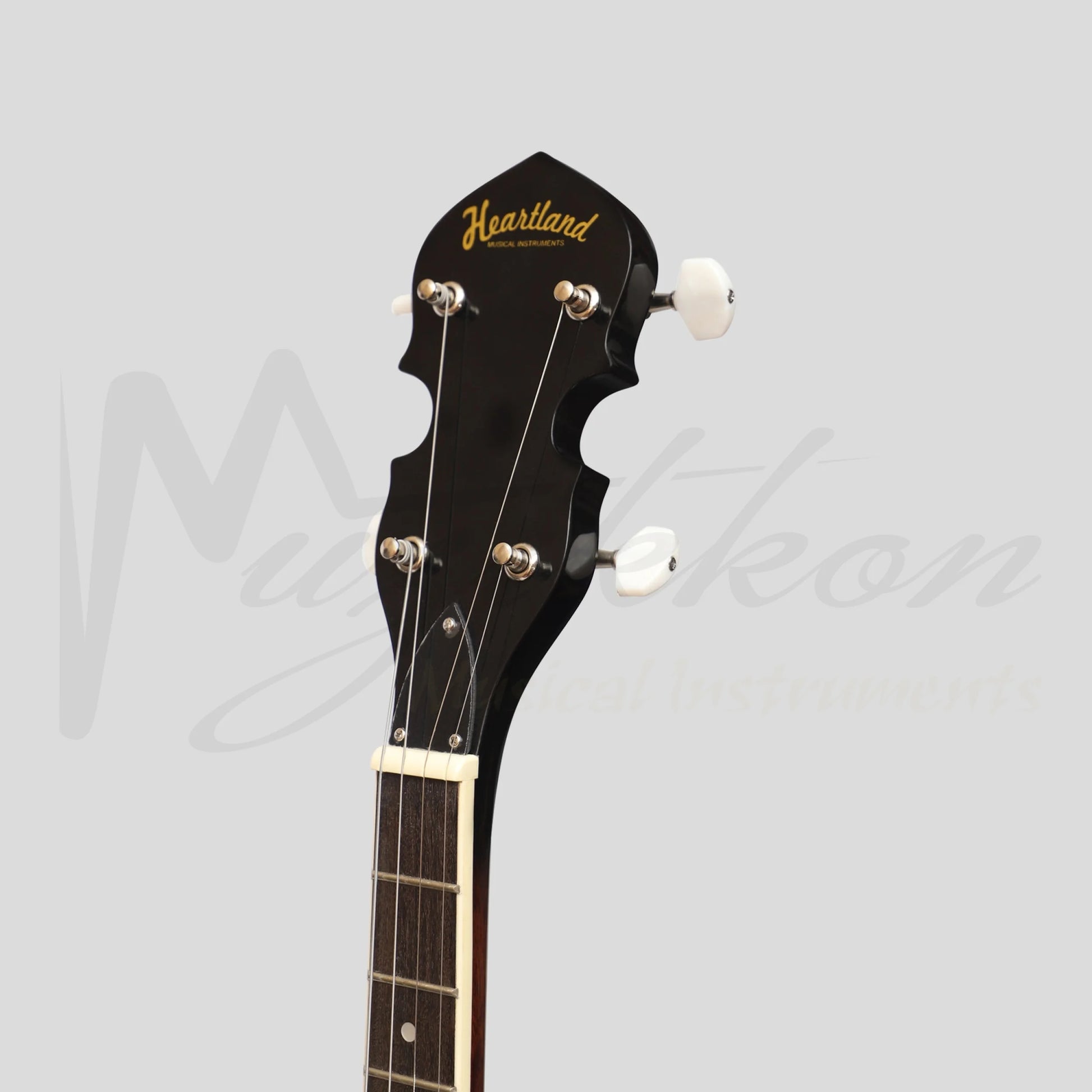 Heartland 4 String Banjo Closed Solid Back 17 Fret Irish Tenor Short Scale