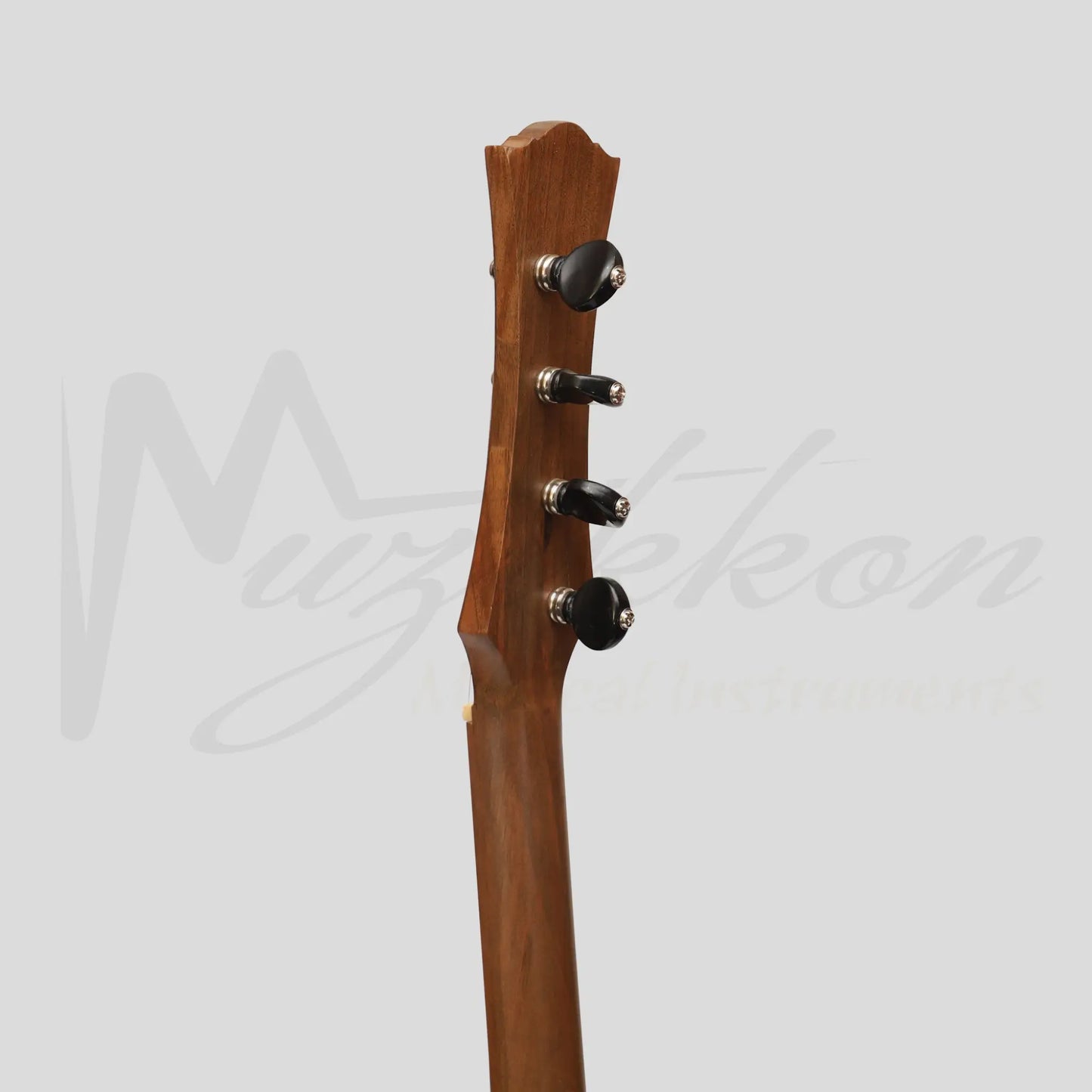 Heartland Wildwood Dulcimer Banjo 4 String Walnut