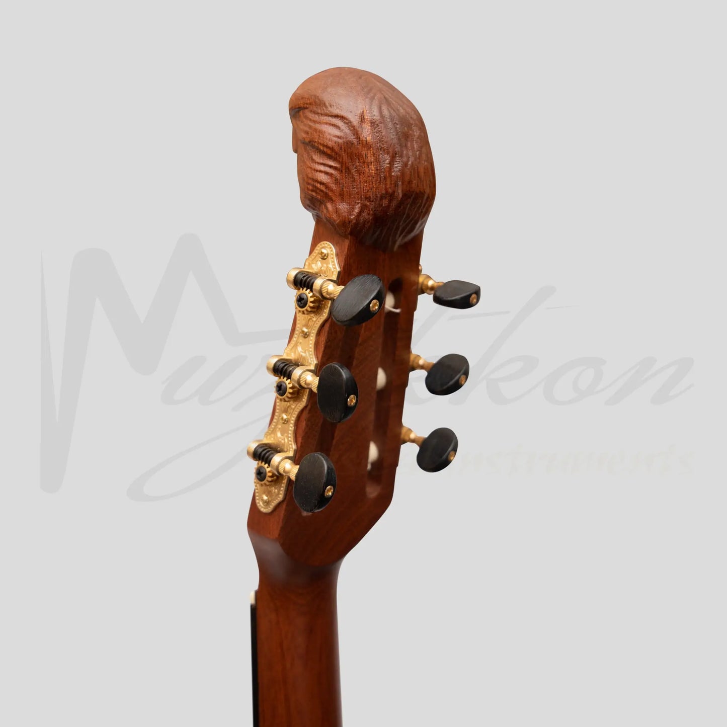 Lute Guitar 6 String Variegated Lacewood Rosewood