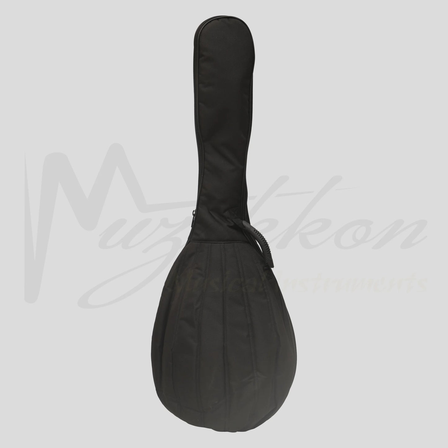 Lute Guitar 6 String Variegated Lacewood Rosewood