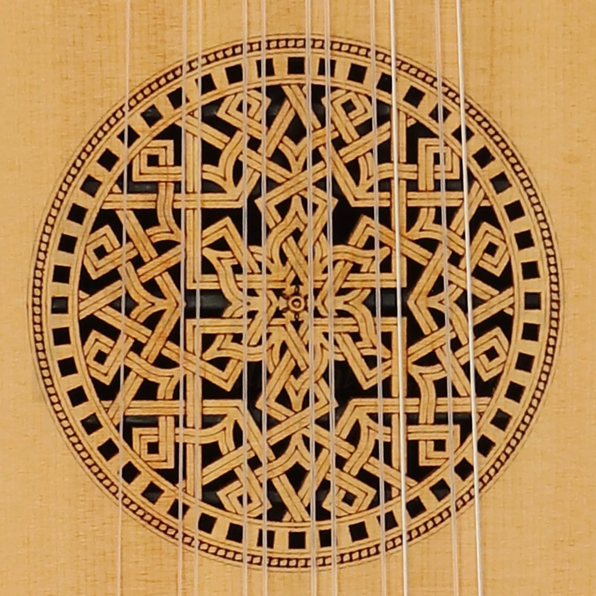 Muzikkon Renaissance Lute 6 Course Deluxe Left Hand After Hieber