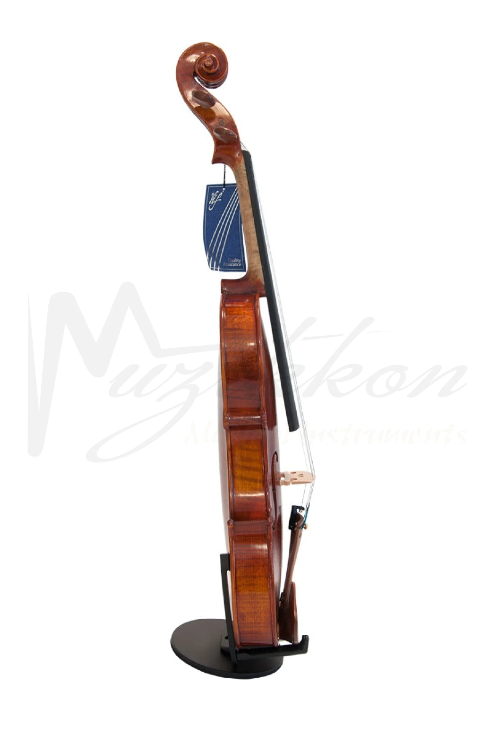 Violin Bv300 - Antonius Stradivarius Model