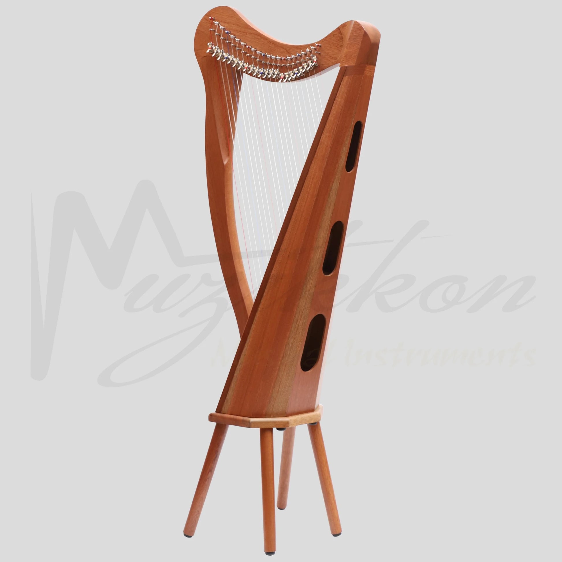 22 String Ard Ri Harp