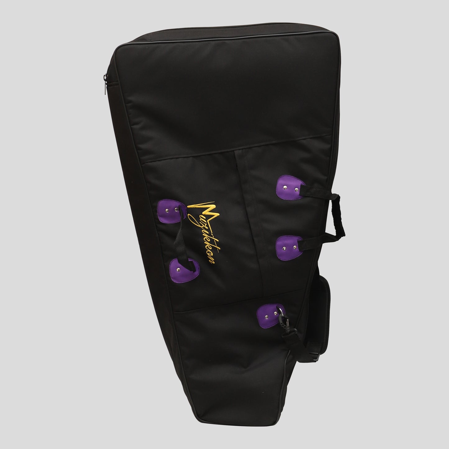 Arpa Ard Ri a 22 corde