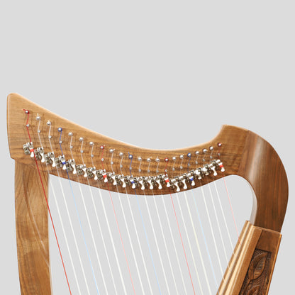 22 Strings Trinity Harp Walnut