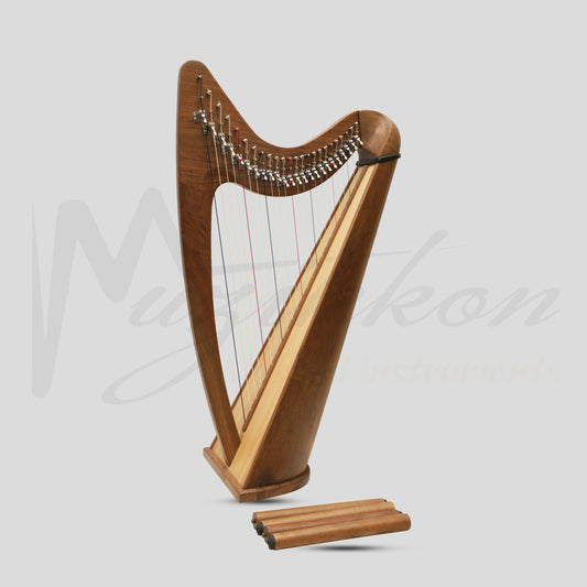 24 String Claddagh Harp Walnut