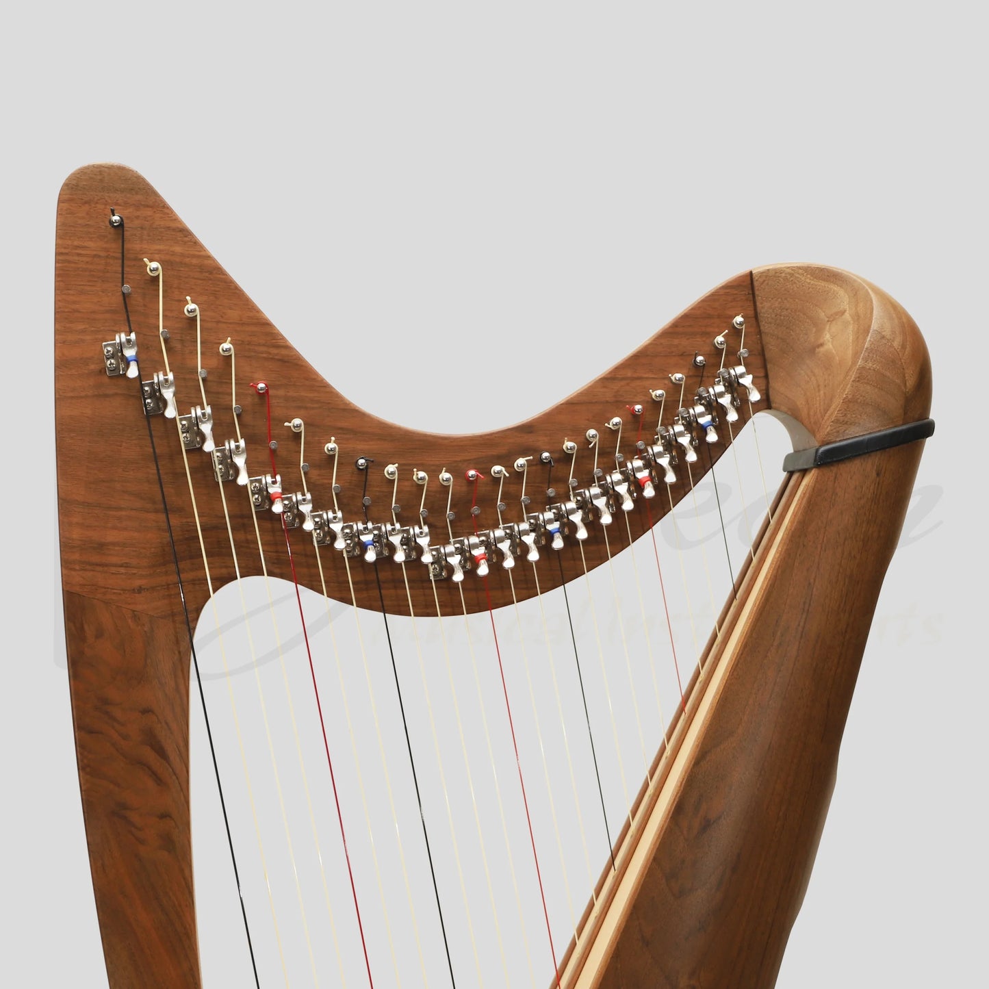 24 String Claddagh Harp Walnut