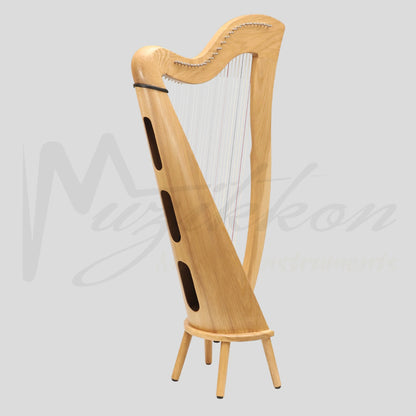 27 String McHugh Harp Round Back