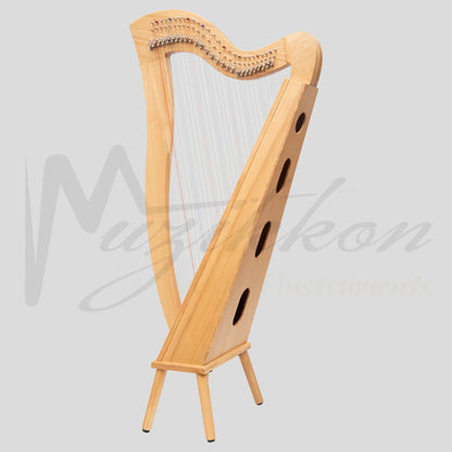 27 String Mchugh Harp Square Back