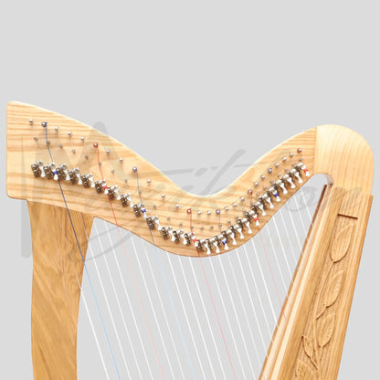 27 String Trinity Harp