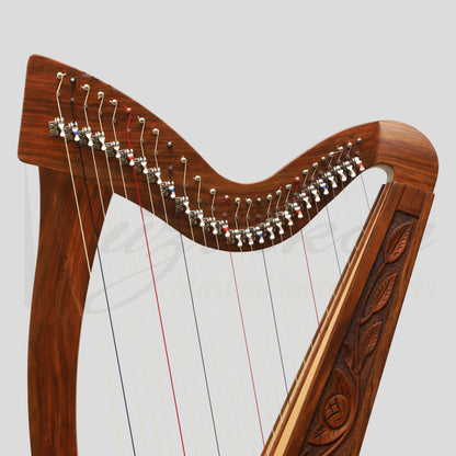 27 String Trinity Celtic Harp