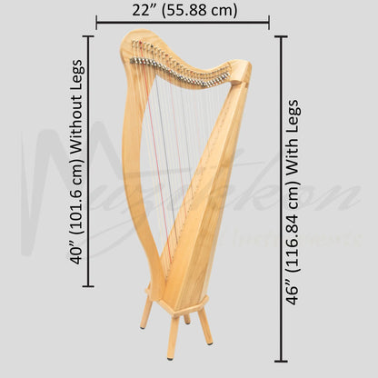 29 String Ard Ri Harp