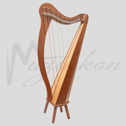 29 String Ard Ri Harp