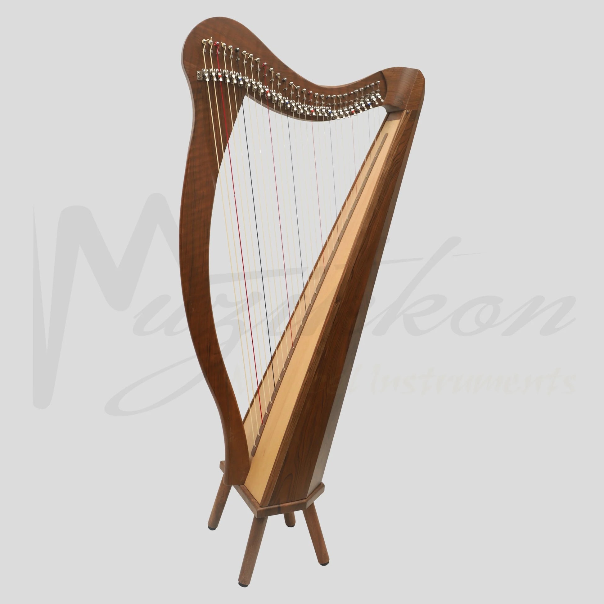 29 String Ard Ri Harp