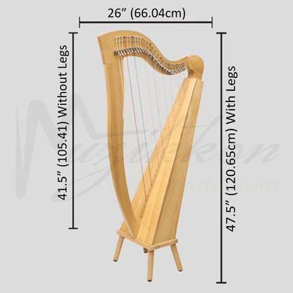 29 String McHugh Harp Square Back