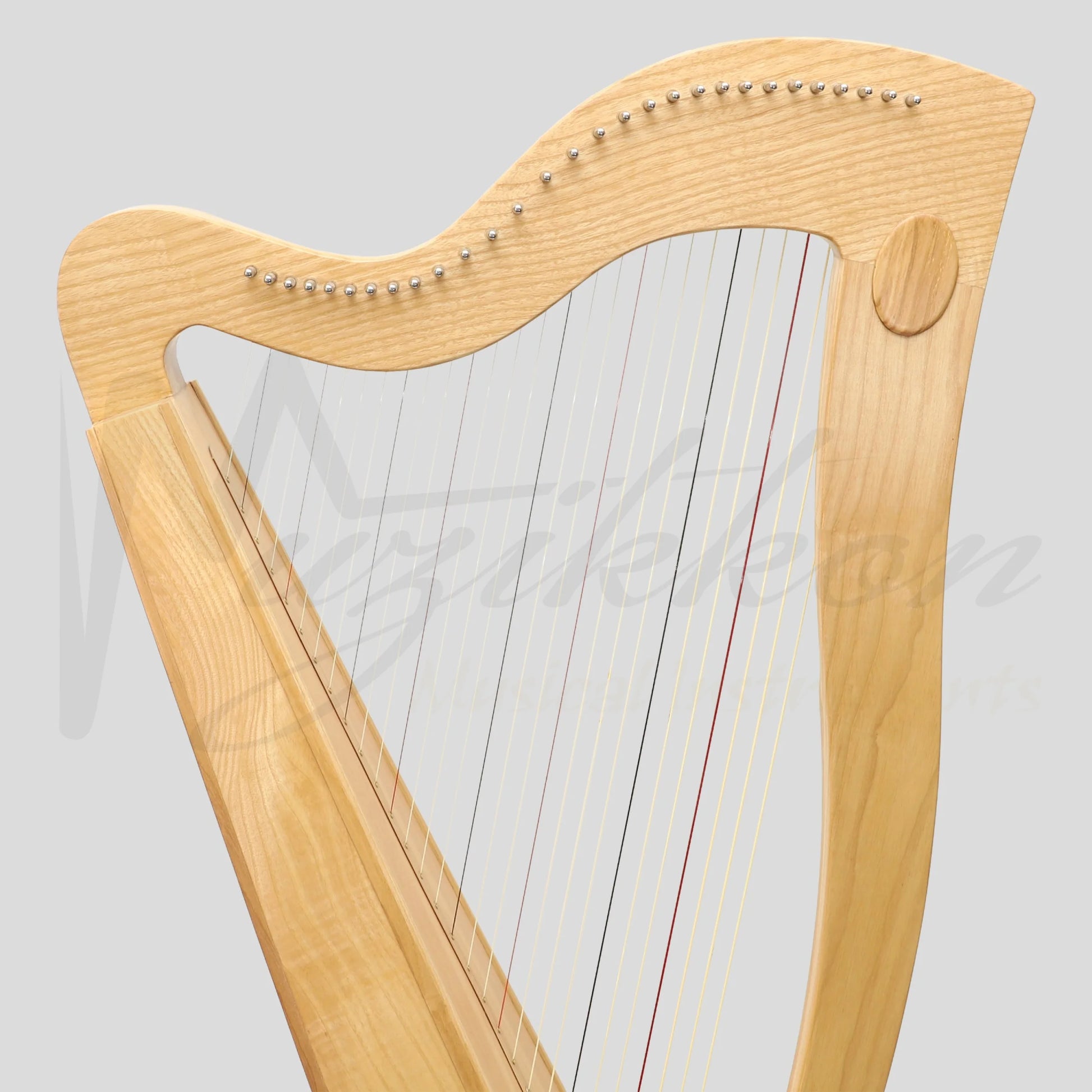 29 String McHugh Harp Square Back