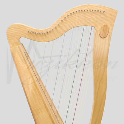 29 String McHugh Harp Square Back