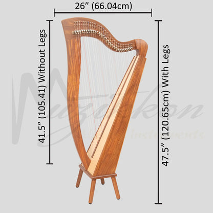 29 String McHugh Harp Square Back