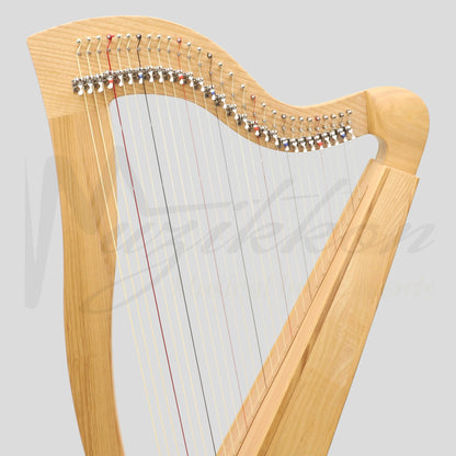 29 String McHugh Harp Square Back