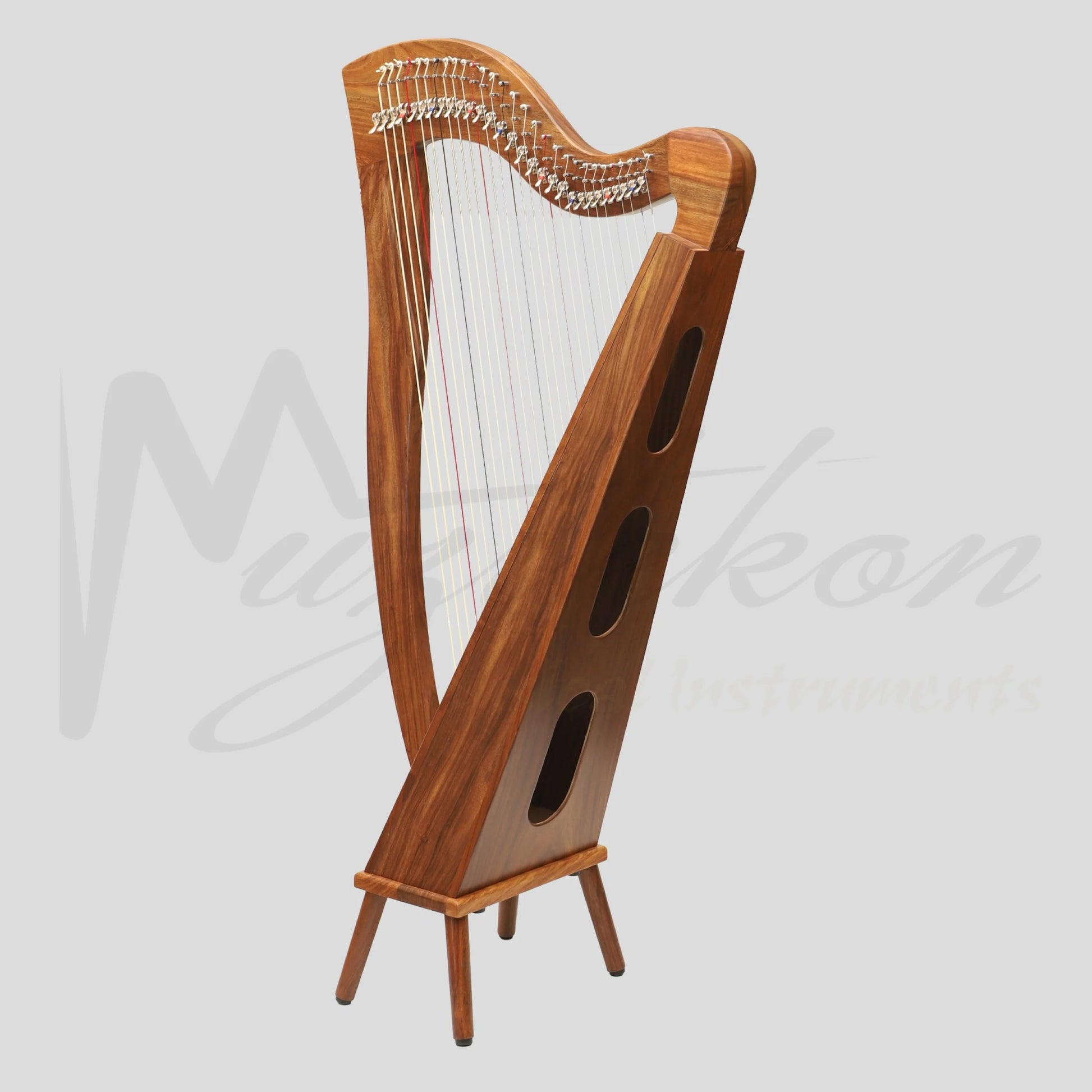 29 String McHugh Harp Square Back