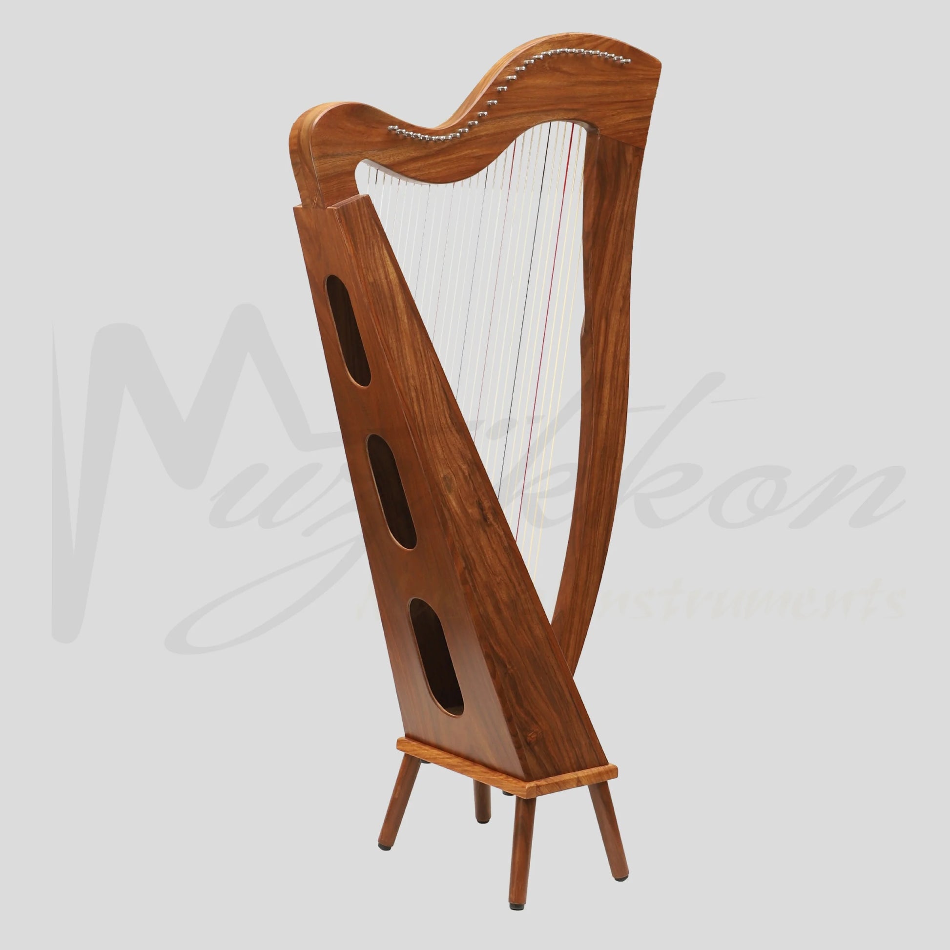 29 String McHugh Harp Square Back