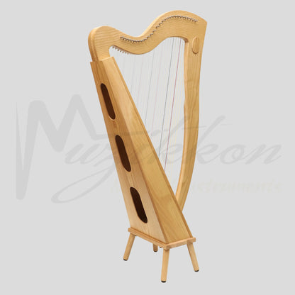29 String McHugh Harp Square Back