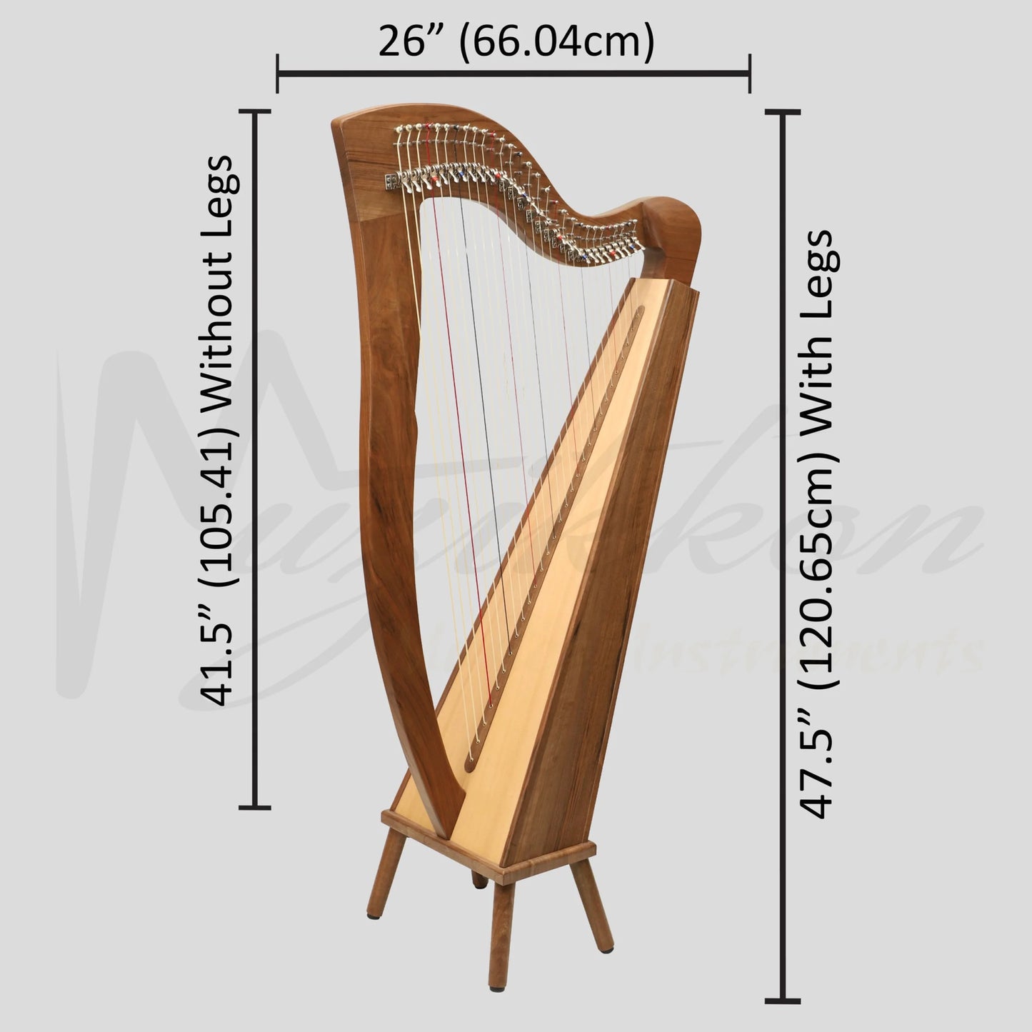 29 String McHugh Harp Square Back