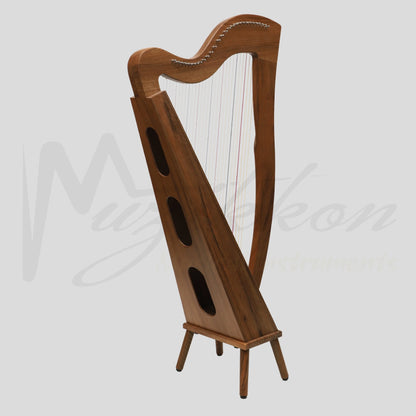 29 String McHugh Harp Square Back