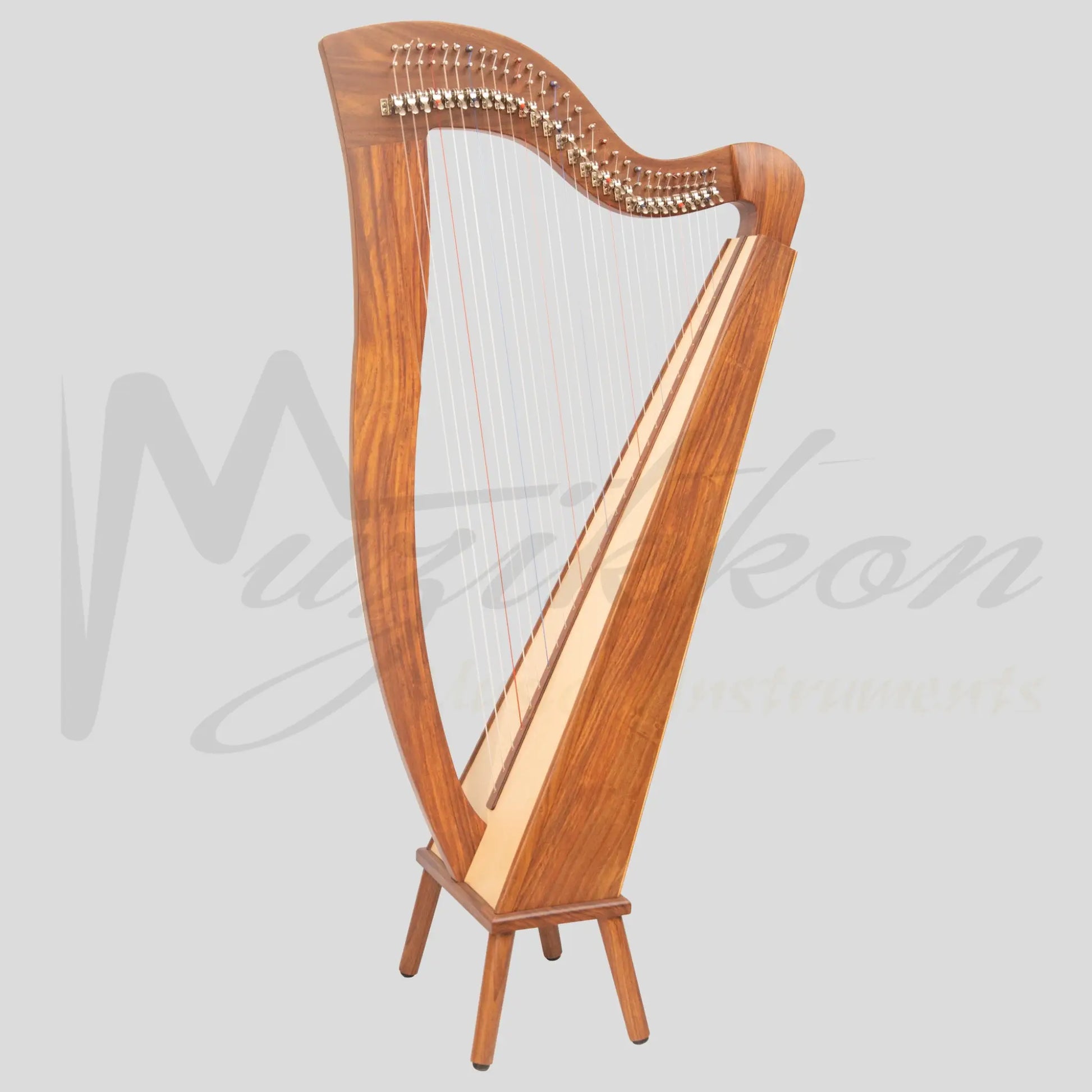 29 String McHugh Harp Square Back