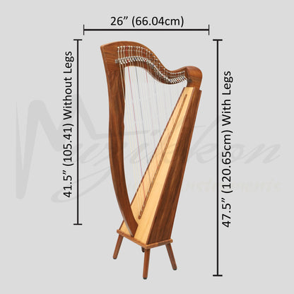 29 String McHugh Harp Square Back