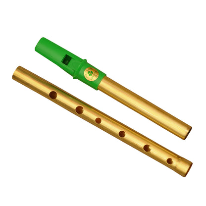 Clare Irish Tin Whistle 2 parti in D Brass Green