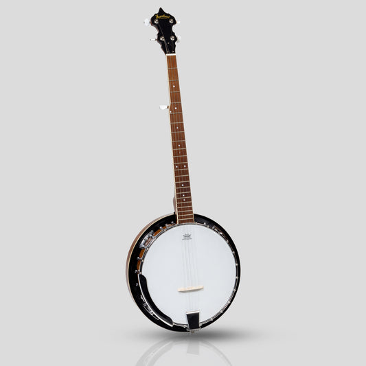Banjo irlandais Heartland 5 cordes 24 support avec dos solide fermé et accordeur 5e engrené