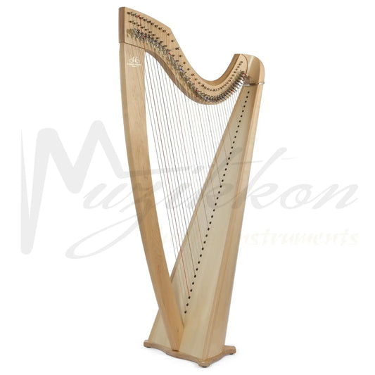 Camac Classical Isolde 38 Fluorocarbon Strings In Walnut Muzikkon