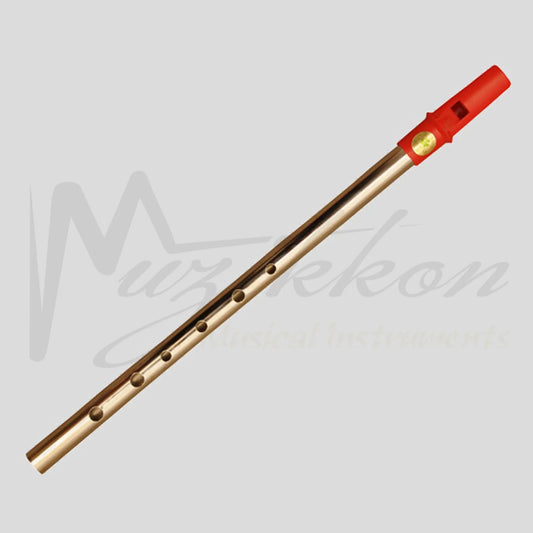 Clare Irish Tin Whistle In D Nickel Red