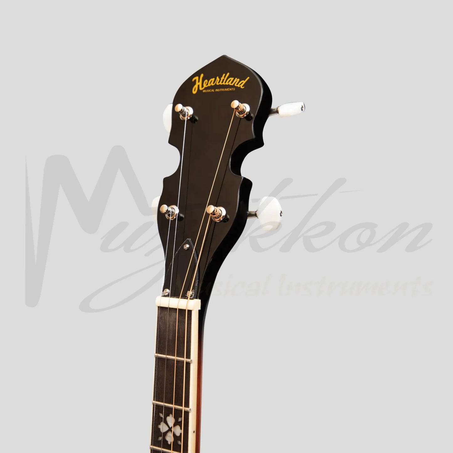 Heartland 4 String 19 Fret Irish Tenor Banjo Left Handed Player Series With Closed Solid Back