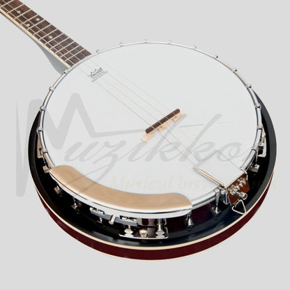 Heartland 4 String Banjo 19 Frets Irish Tenor 24 Bracket With Closed Solid Back