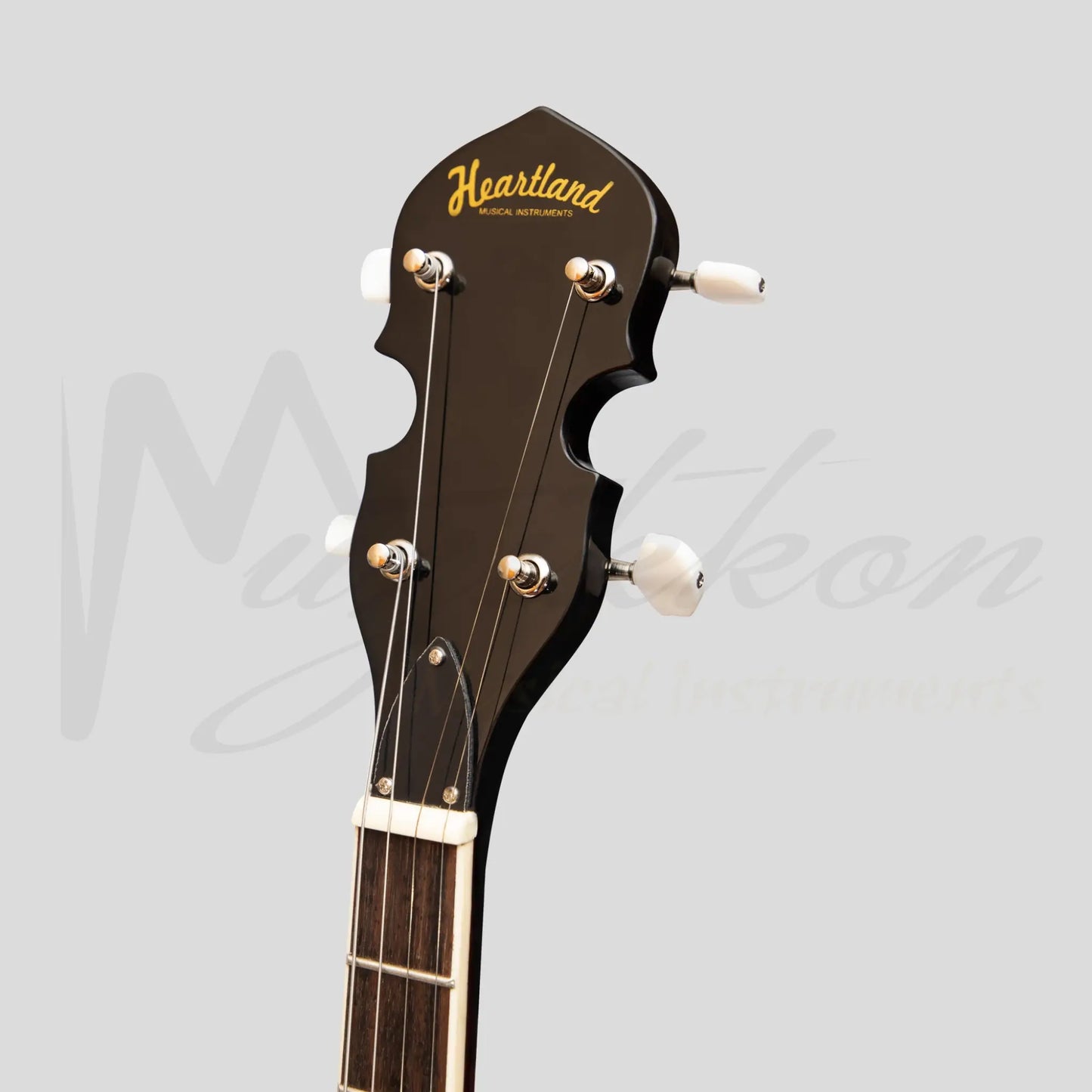 Heartland 4 String Banjo 19 Frets Irish Tenor 24 Bracket With Closed Solid Back