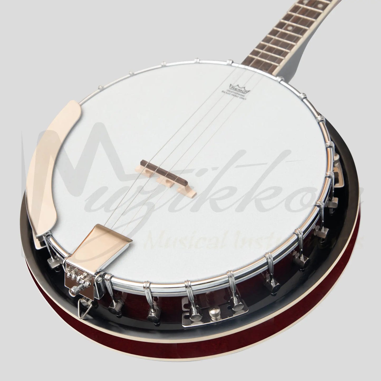 Heartland 4 String Banjo 19 Frets Irish Tenor 24 Bracket With Closed Solid Back