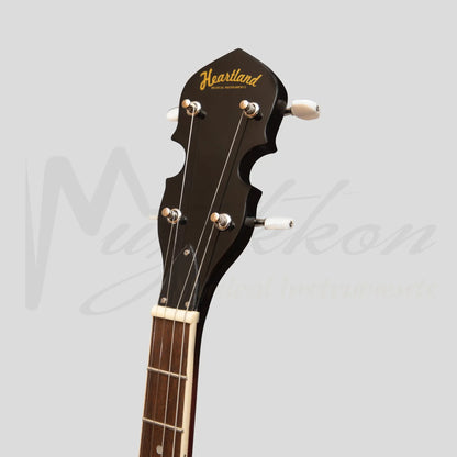 Heartland 4 String Banjo 19 Frets Irish Tenor Left Handed 24 Bracket With Closed Solid Back