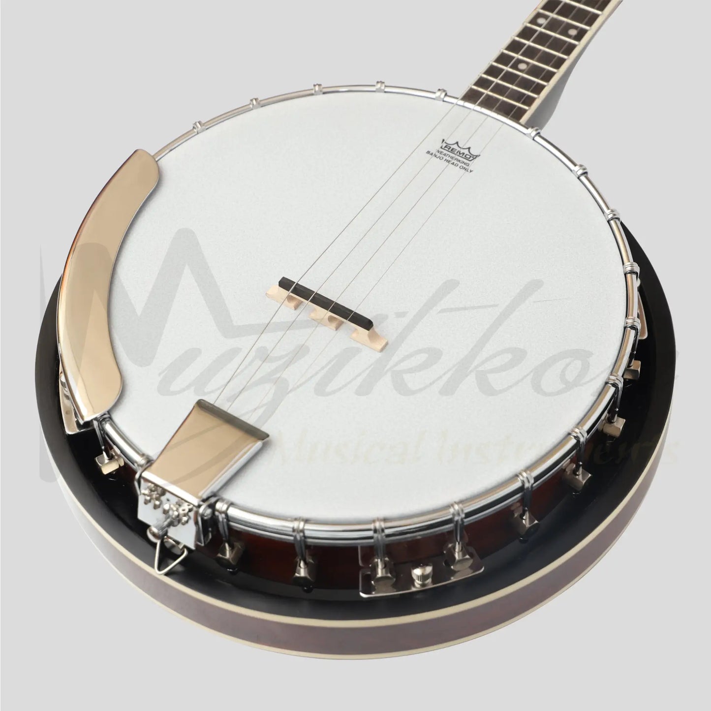 Heartland 4 String Banjo Closed Solid Back 17 Fret Irish Tenor Short Scale