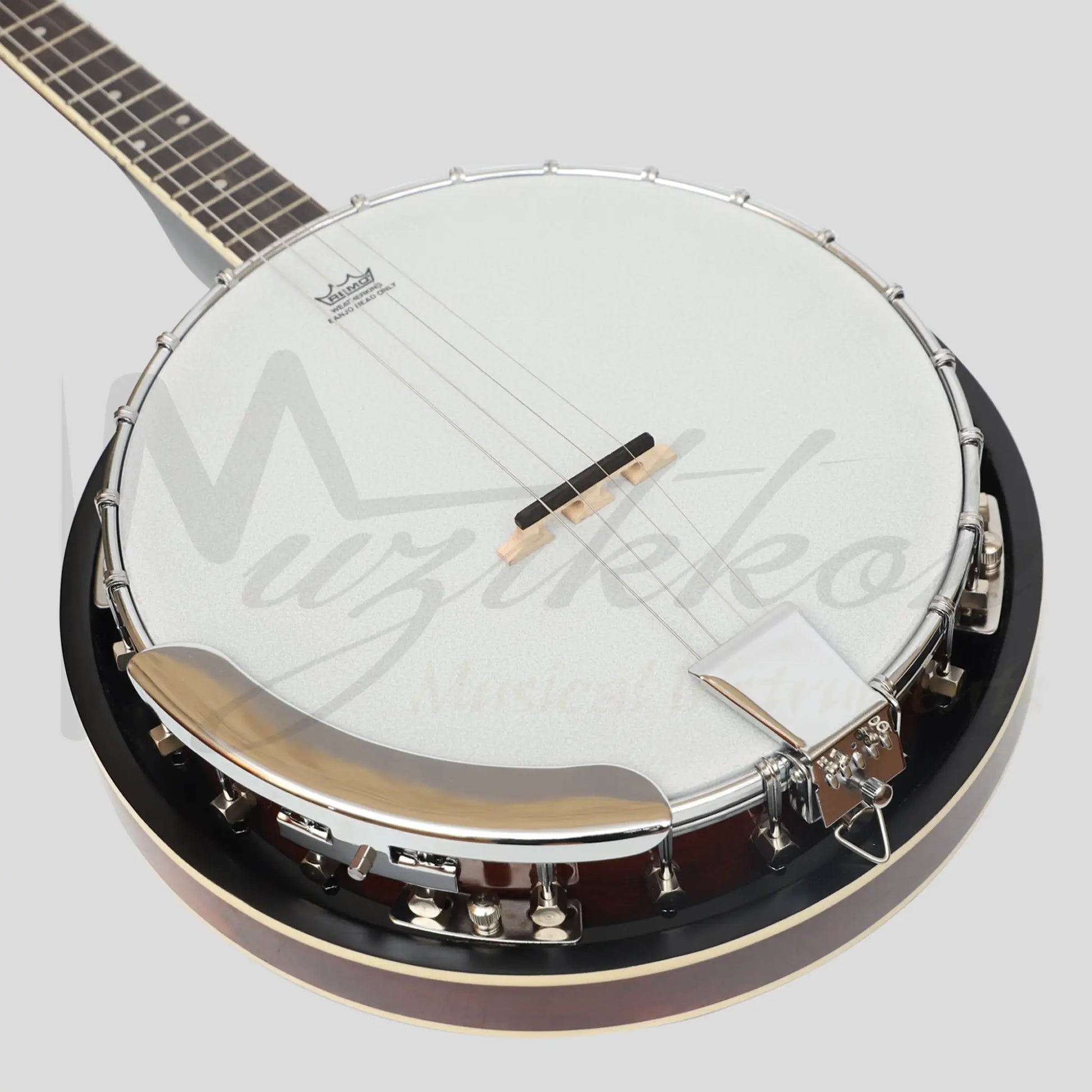 Heartland 4 String Banjo Closed Solid Back 17 Fret Irish Tenor Short Scale