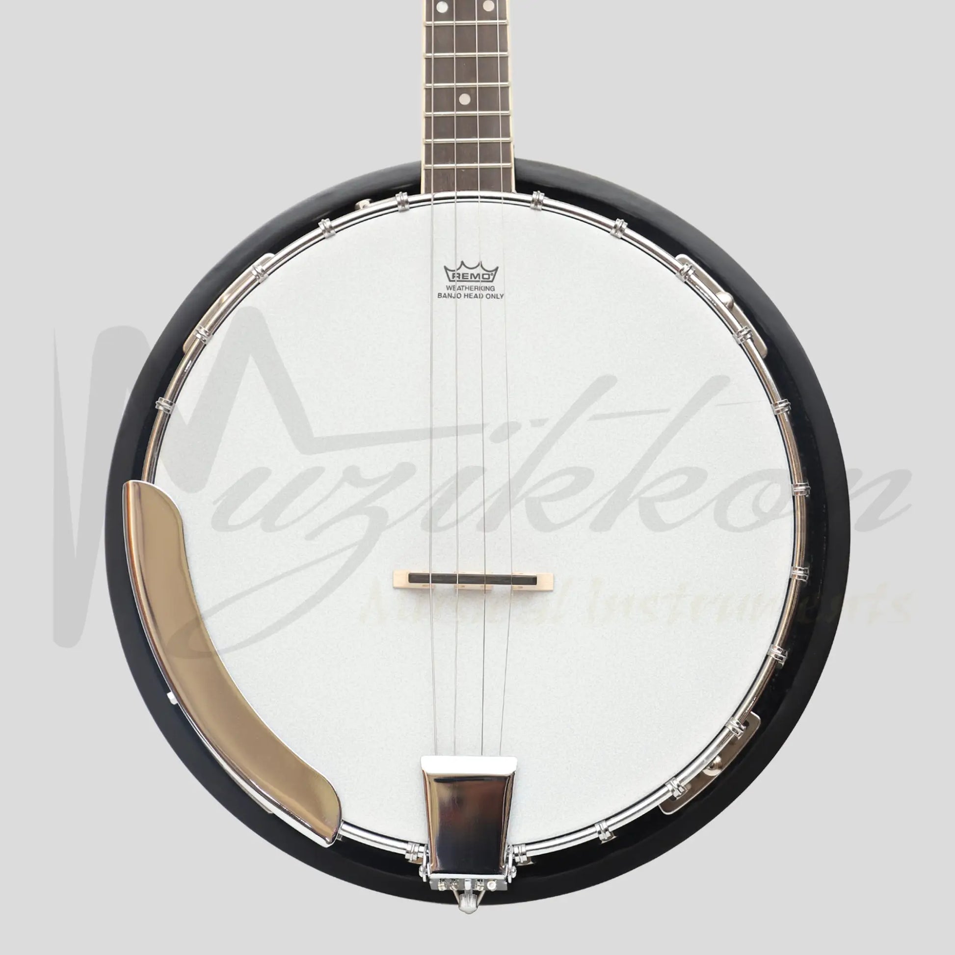 Heartland 4 String Banjo Closed Solid Back 17 Fret Irish Tenor Short Scale